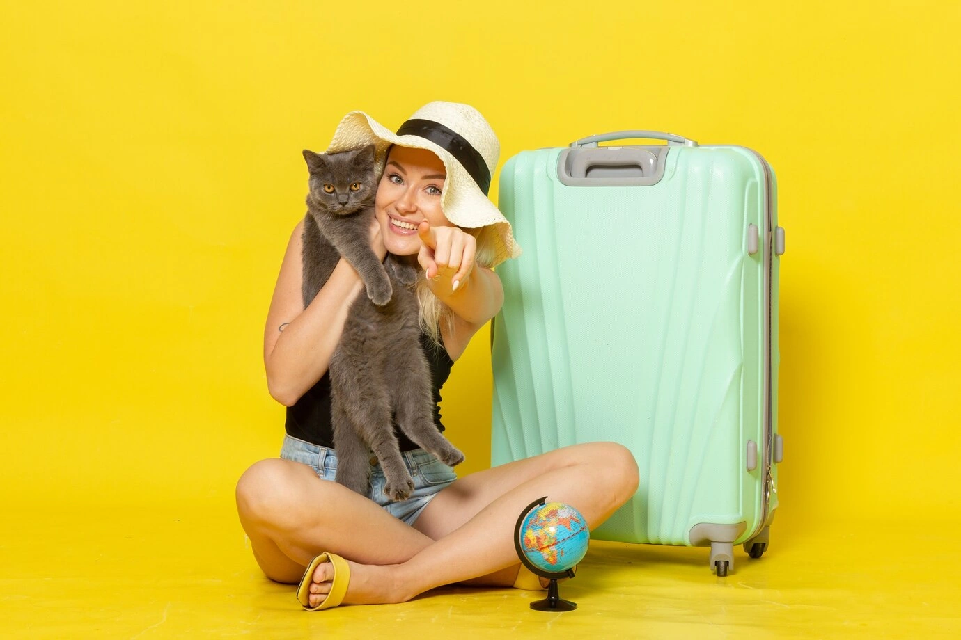 Travel with Pets